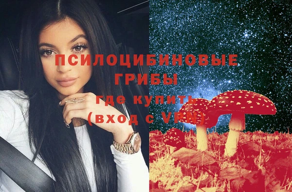 дживик Богородицк