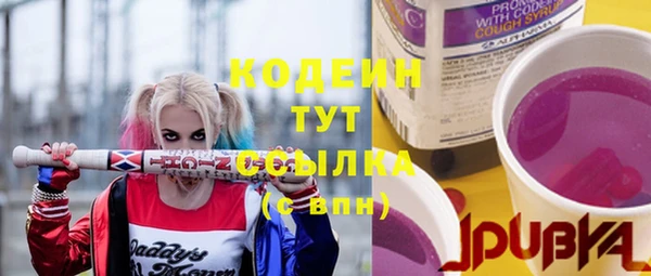 дживик Богородицк