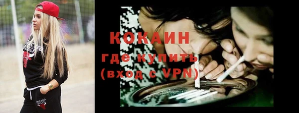 дживик Богородицк