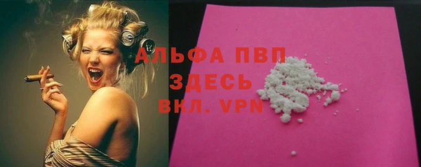 дживик Богородицк