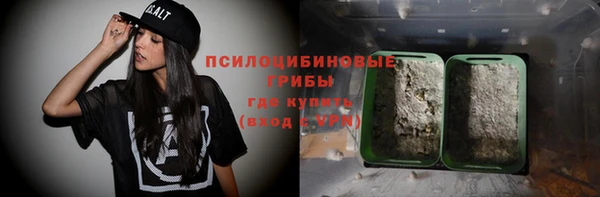 дживик Богородицк