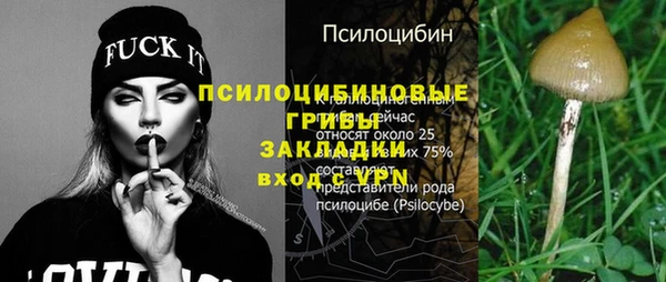 соль курить ск Богородск