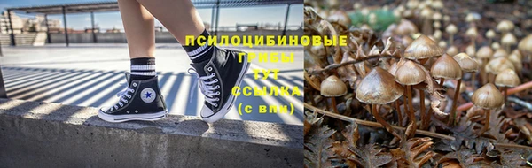 хмурый Богданович