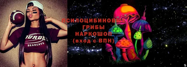дживик Богородицк