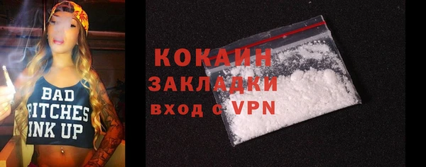 дживик Богородицк