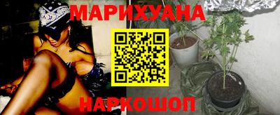 гидропоника Гусев