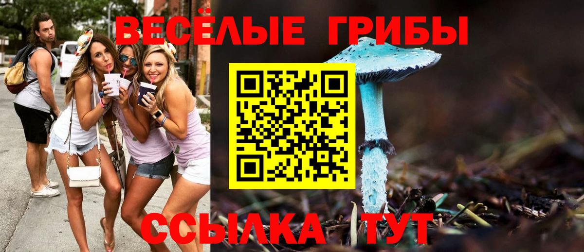 Малоярославец  Галлюциногенные грибы Magic Shrooms  Псилоцибиновые грибы Psilocybe  Вход с VPN 